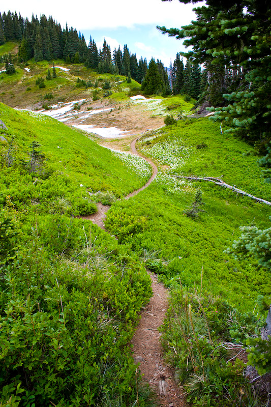 1/160 sec at f / 11 18 mm ISO 320