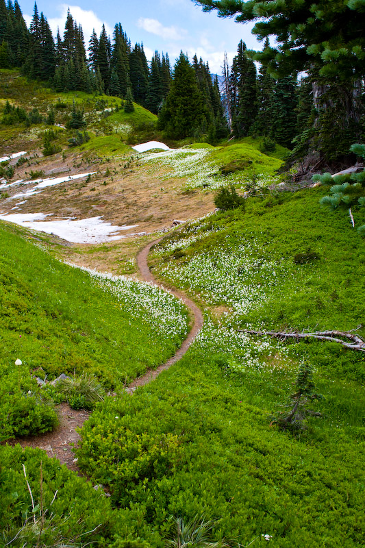 1/250 sec at f / 11 33 mm ISO 320