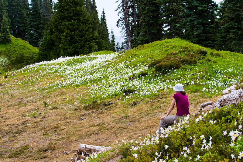 1/800 sec at f / 7.1 70 mm ISO 320