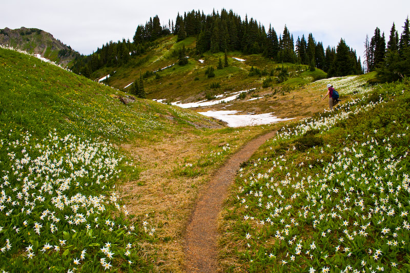 1/250 sec at f / 11 18 mm ISO 250