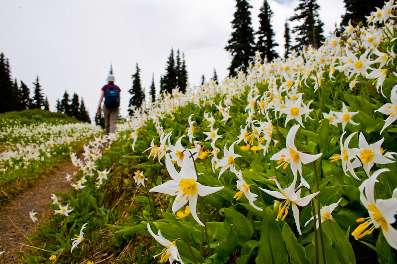 1/500 sec at f / 11 18 mm ISO 250