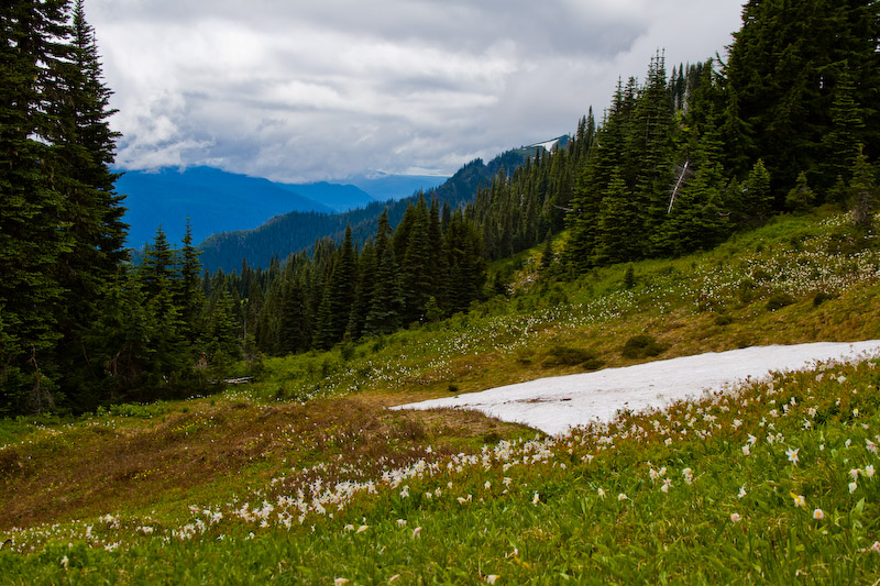 1/250 sec at f / 8.0 37 mm ISO 100