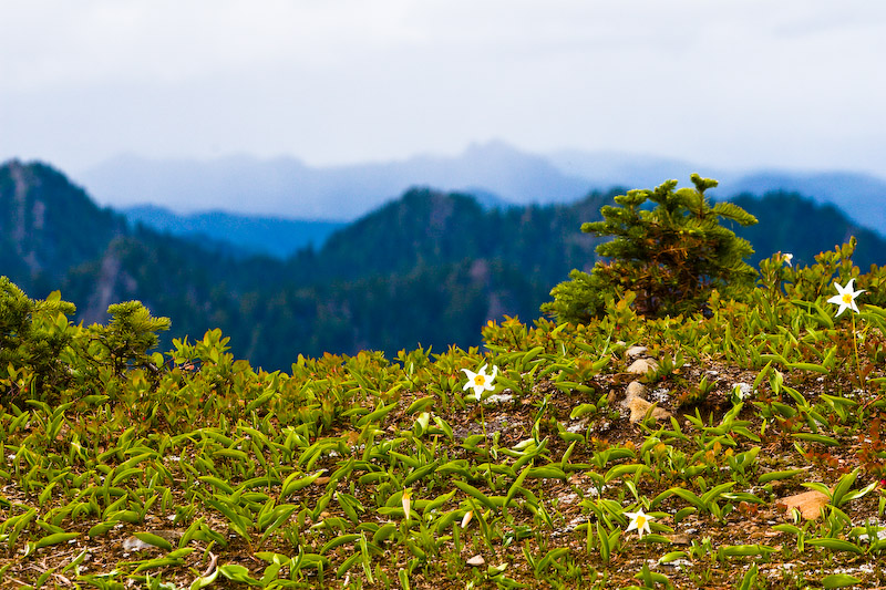 1/320 sec at f / 11 120 mm ISO 250