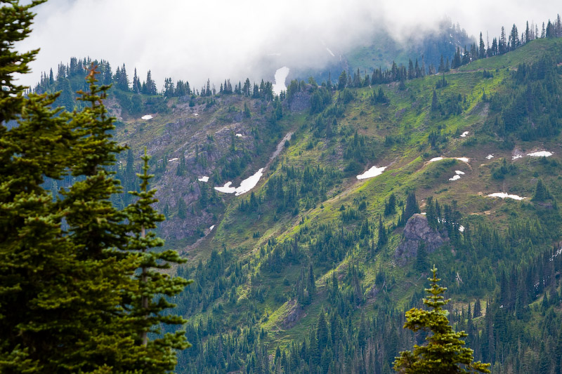 1/500 sec at f / 8.0 135 mm ISO 400