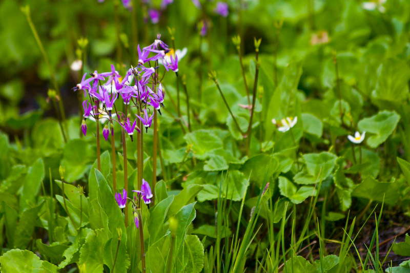 1/400 sec at f / 5.6 300 mm ISO 400