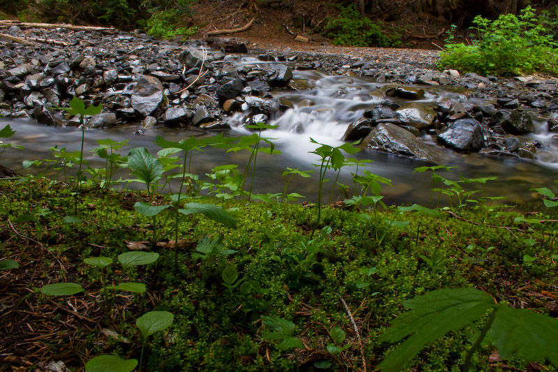 10.0 sec at f / 22 18 mm ISO 100