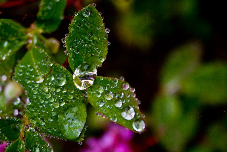 1/800 sec at f / 5.6 55 mm ISO 400