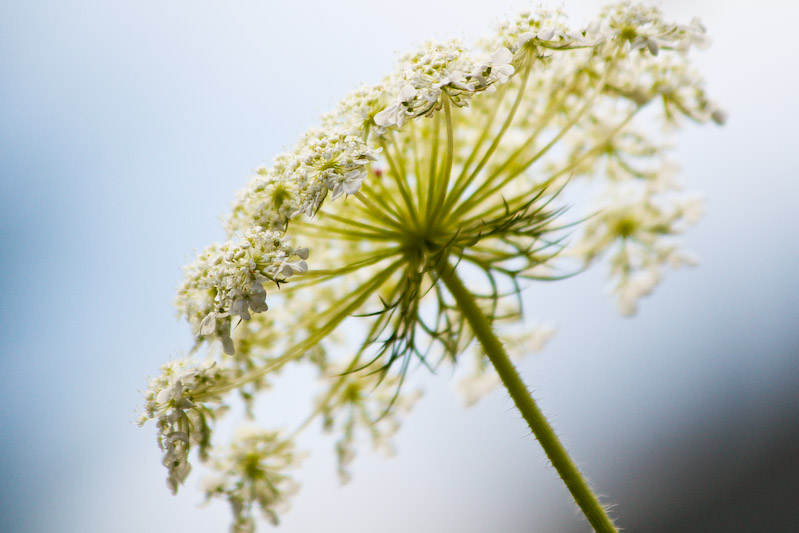 1/3200 sec at f / 5.6 300 mm ISO 400