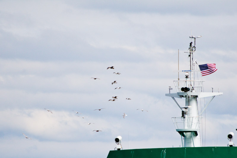 1/3200 sec at f / 5.6 300 mm ISO 400