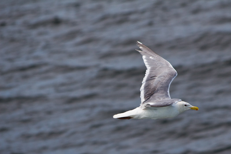 1/1000 sec at f / 5.6 220 mm ISO 100