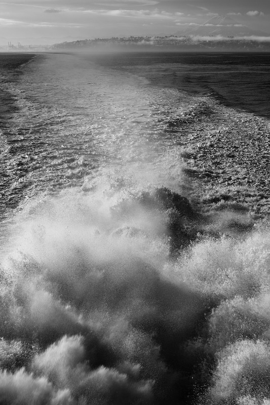 1/250 sec at f / 8.0 50 mm ISO 100