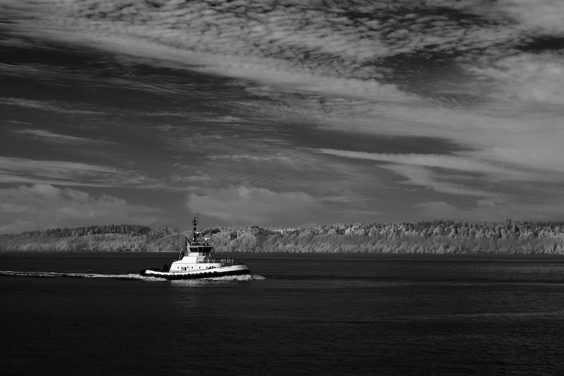 1/180 sec at f / 5.6 50 mm ISO 100