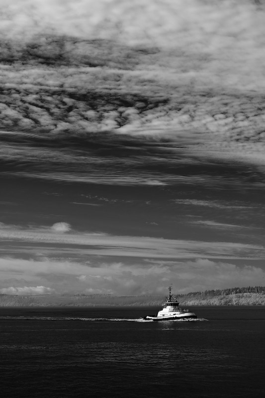 1/180 sec at f / 5.6 50 mm ISO 100