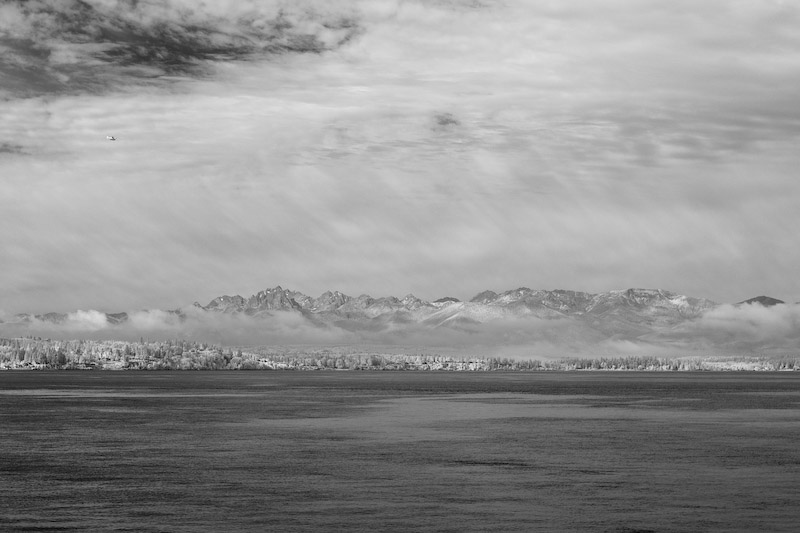 1/350 sec at f / 5.6 50 mm ISO 100