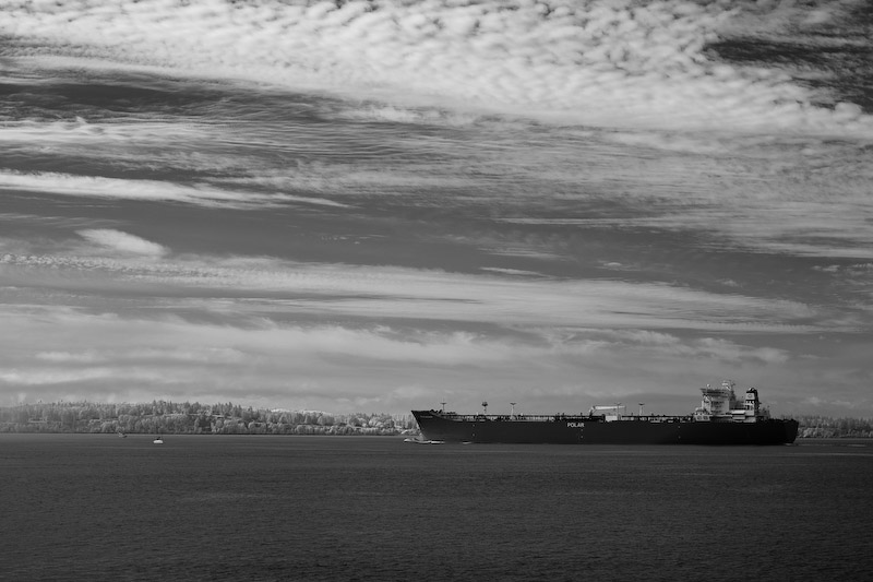 1/180 sec at f / 5.6 50 mm ISO 100