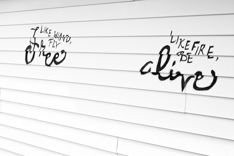 1/180 sec at f / 5.6 50 mm ISO 100