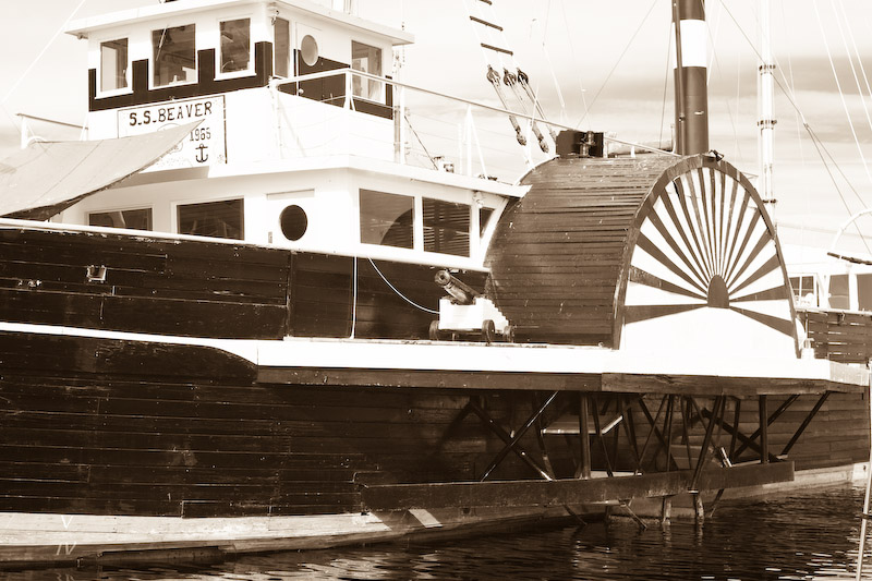 1/180 sec at f / 6.7 50 mm ISO 100