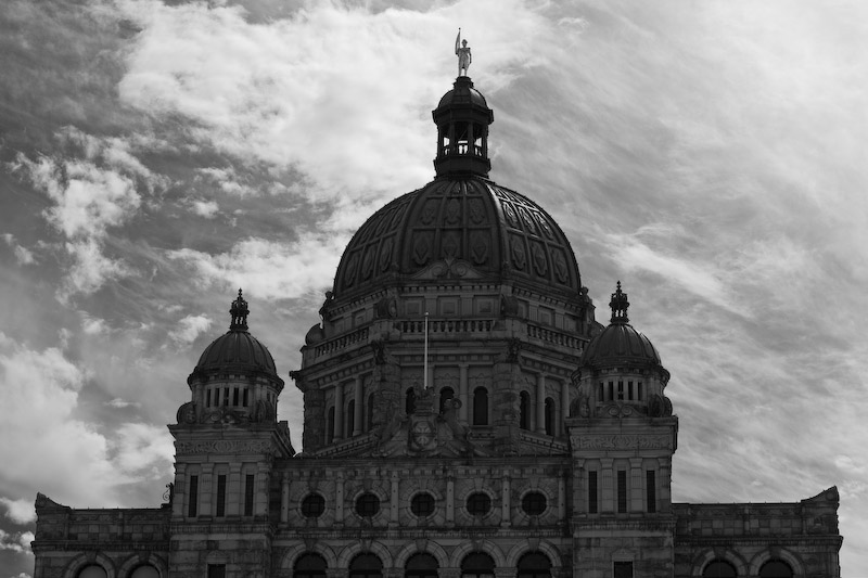 1/250 sec at f / 8.0 50 mm ISO 100