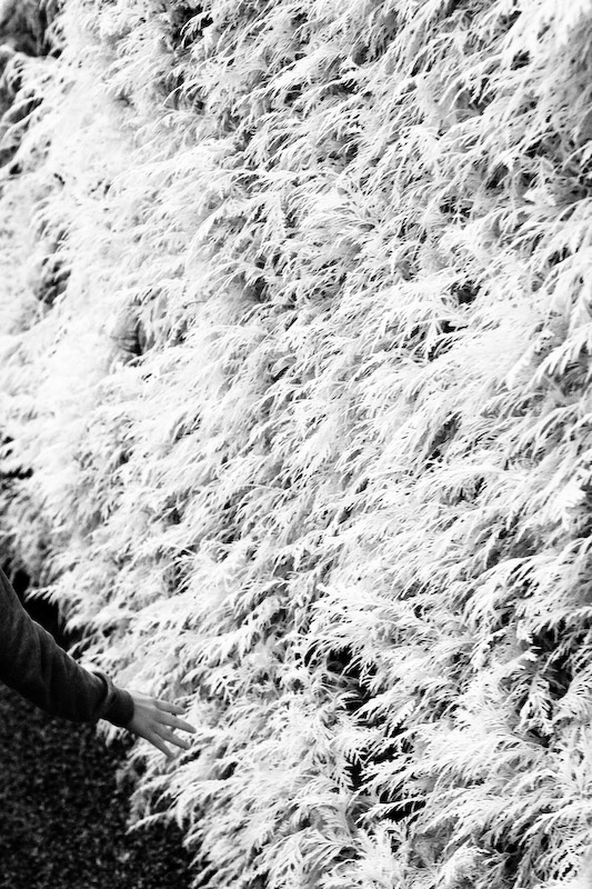 1/125 sec at f / 4.5 50 mm ISO 400