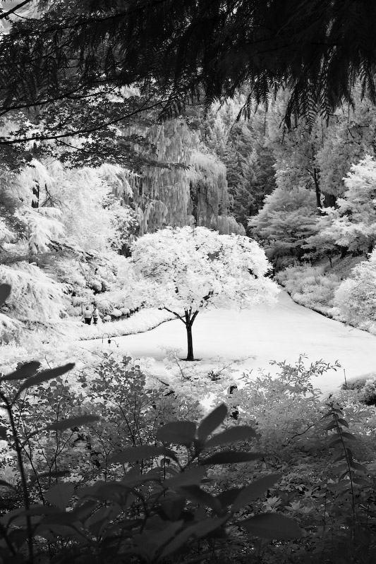 1/125 sec at f / 4.5 50 mm ISO 400