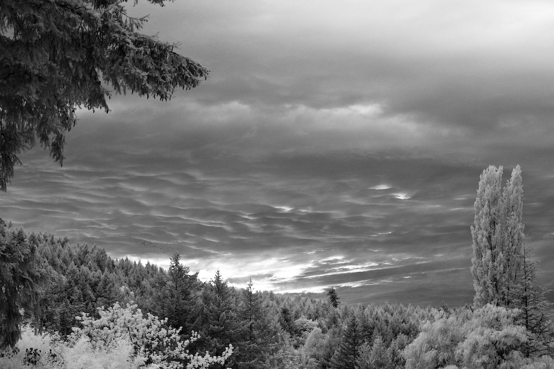 1/180 sec at f / 2.8 50 mm ISO 400