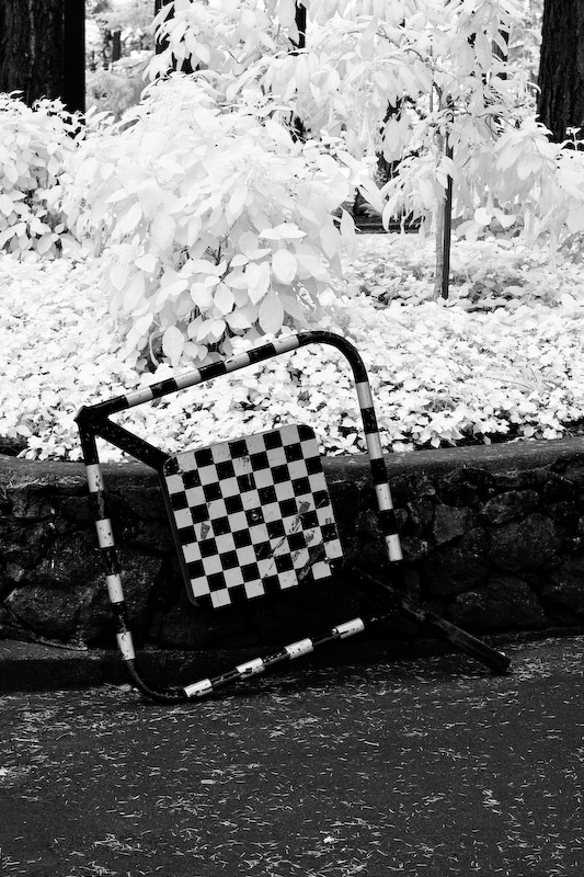 1/125 sec at f / 8.0 50 mm ISO 200