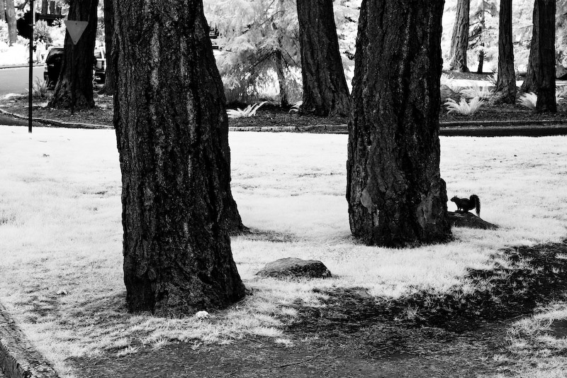 1/125 sec at f / 8.0 50 mm ISO 200