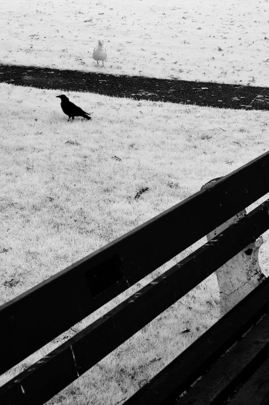 1/125 sec at f / 8.0 50 mm ISO 200