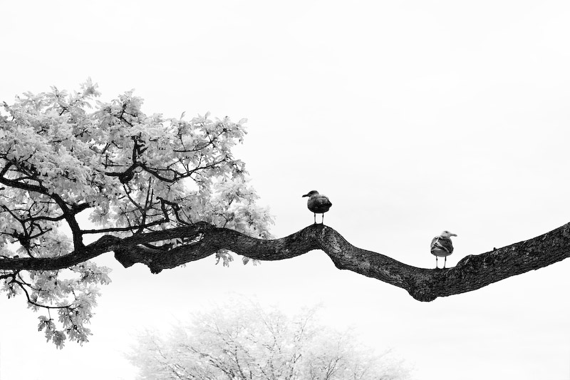 1/125 sec at f / 5.6 50 mm ISO 200