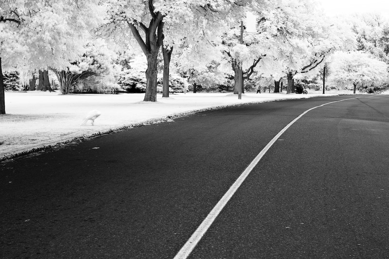 1/125 sec at f / 5.6 50 mm ISO 200