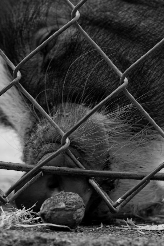 1/125 sec at f / 5.6 50 mm ISO 200