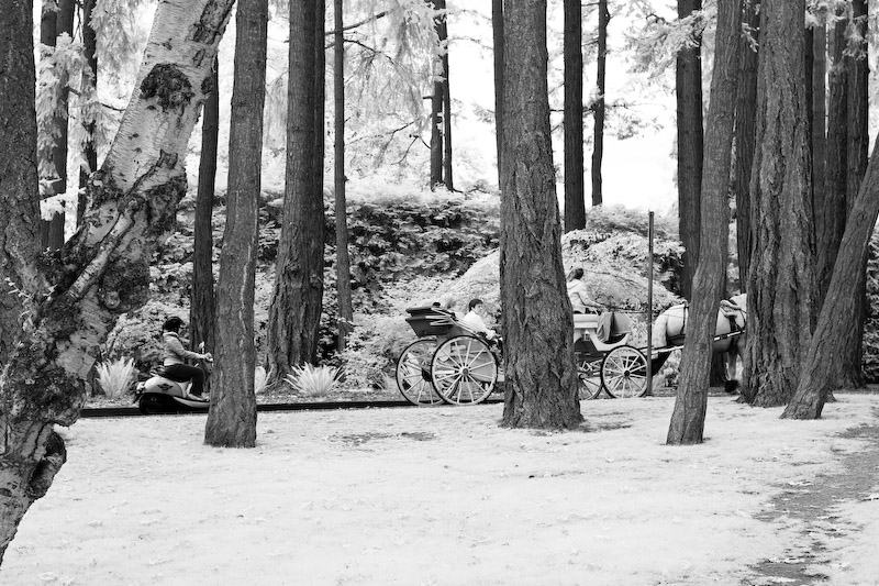 1/90 sec at f / 5.6 50 mm ISO 200