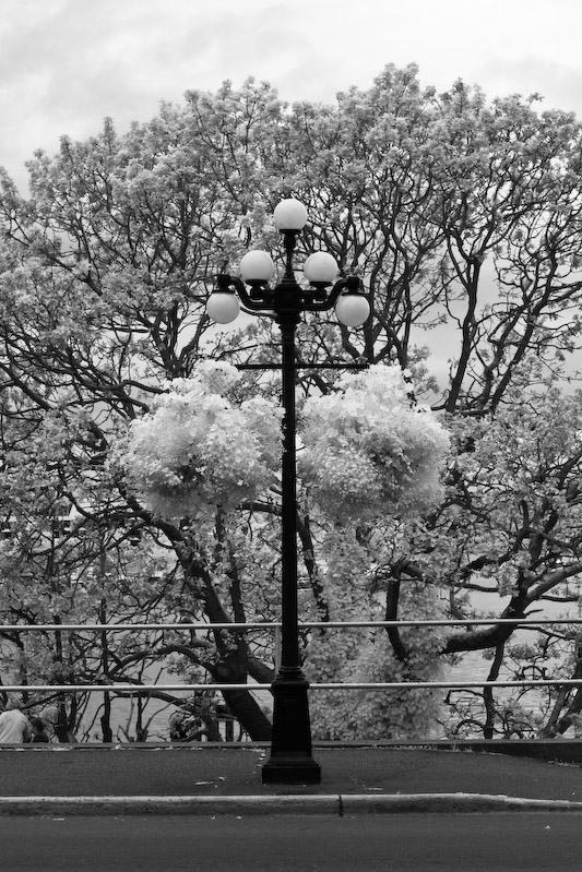 1/125 sec at f / 11 50 mm ISO 800