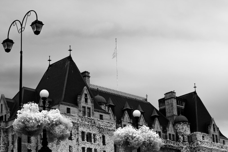 1/125 sec at f / 5.6 50 mm ISO 200