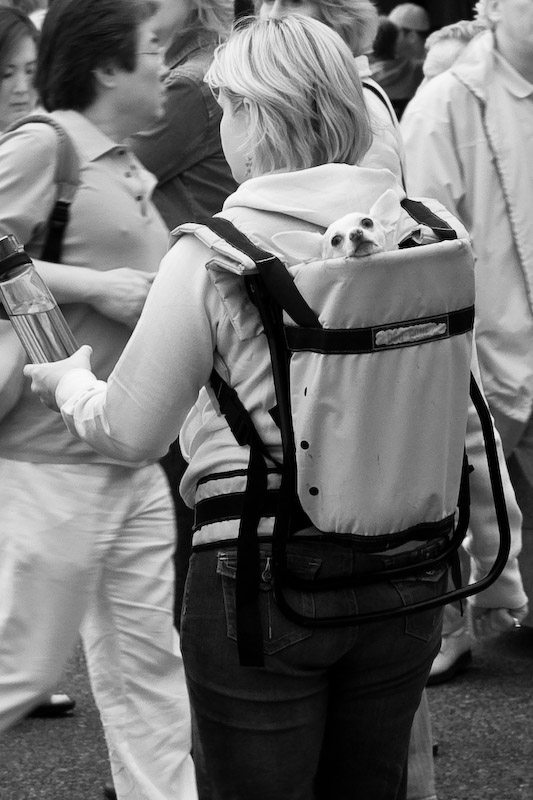 1/125 sec at f / 5.6 50 mm ISO 200