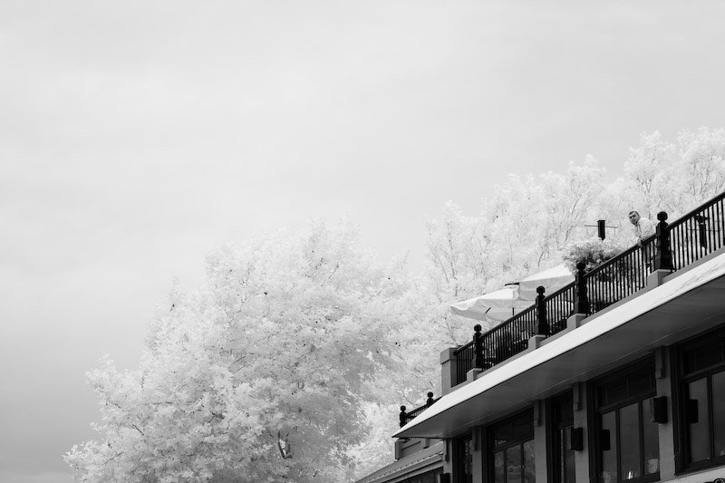 1/125 sec at f / 5.6 50 mm ISO 200