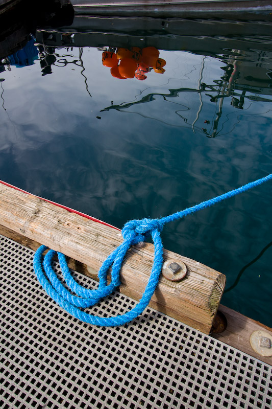 1/100 sec at f / 8.0 16 mm ISO 100