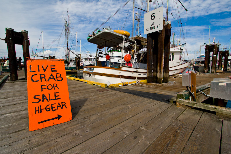 1/400 sec at f / 8.0 10 mm ISO 100