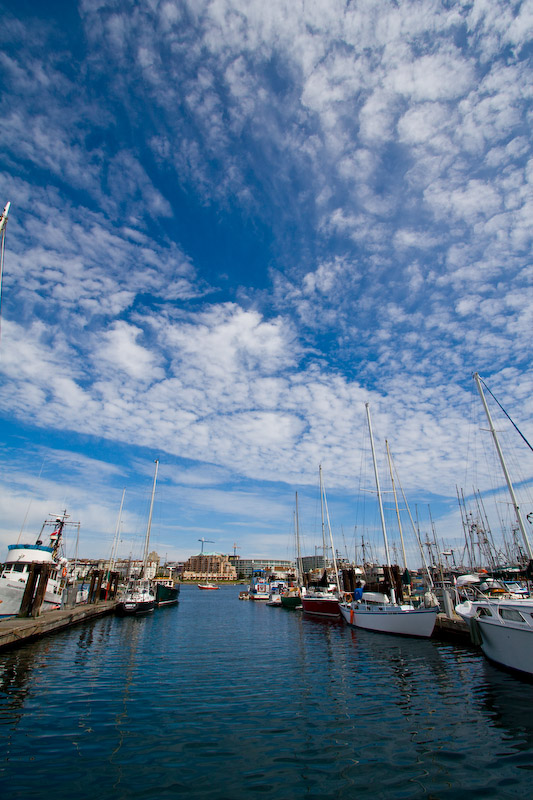 1/500 sec at f / 8.0 10 mm ISO 100