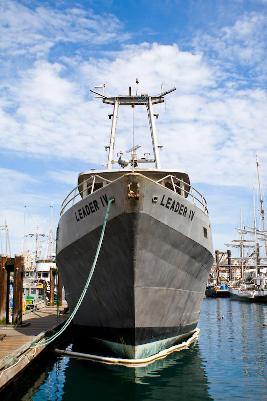 1/2000 sec at f / 2.8 25 mm ISO 100