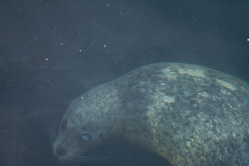 1/1000 sec at f / 2.8 70 mm ISO 320