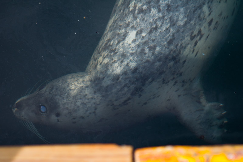 1/1600 sec at f / 2.8 70 mm ISO 320