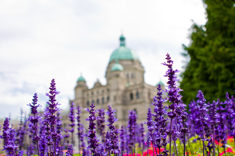 1/1000 sec at f / 2.8 24 mm ISO 100