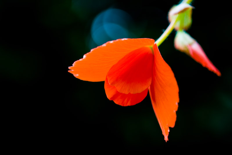 1/100 sec at f / 2.8 70 mm ISO 100