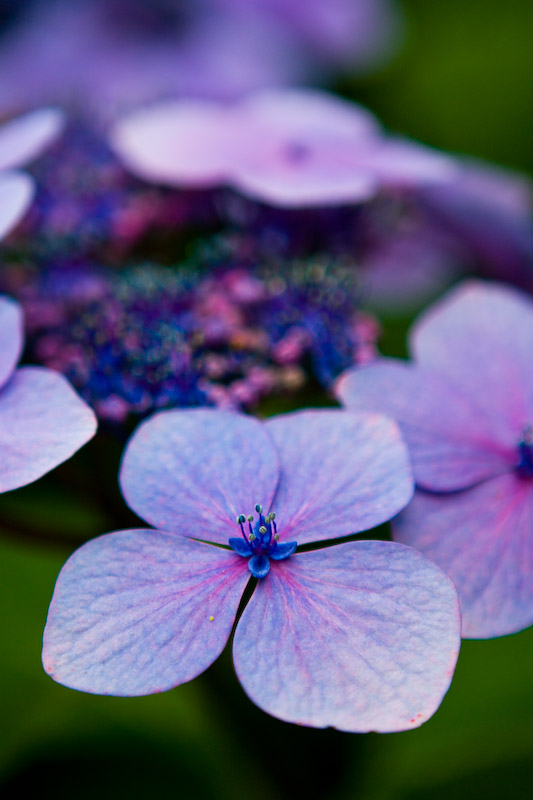 1/250 sec at f / 2.8 70 mm ISO 100