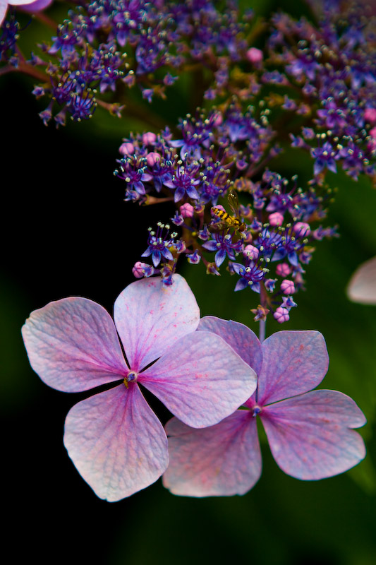 1/200 sec at f / 2.8 70 mm ISO 200