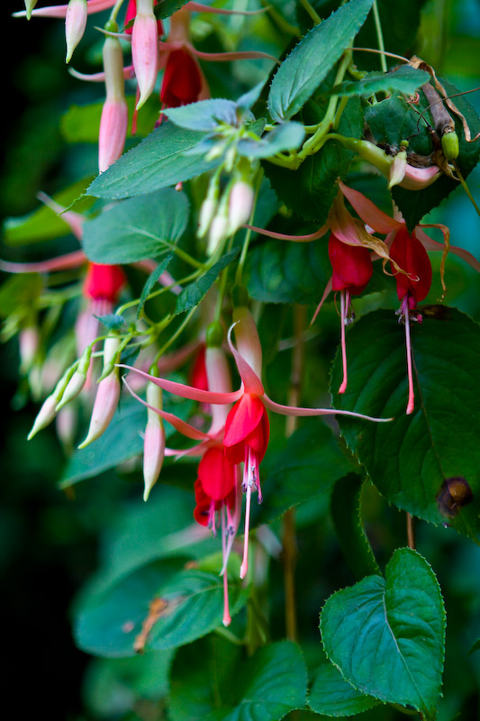 1/250 sec at f / 2.8 70 mm ISO 200