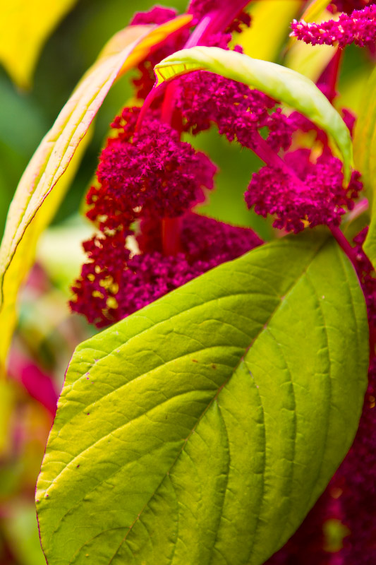 1/250 sec at f / 2.8 70 mm ISO 100