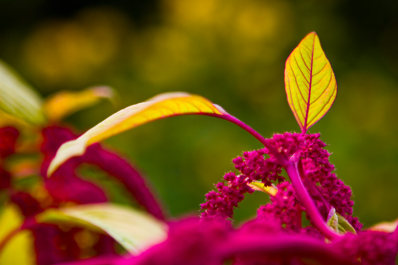 1/400 sec at f / 2.8 70 mm ISO 100