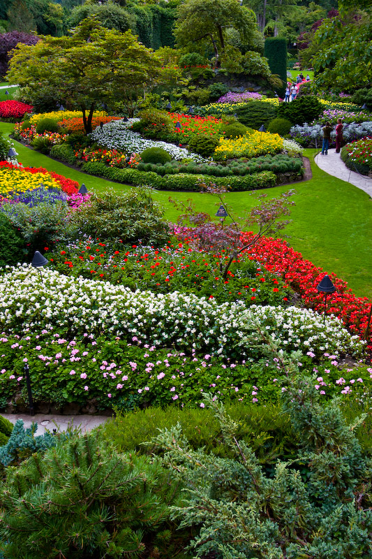 1/50 sec at f / 6.3 22 mm ISO 100